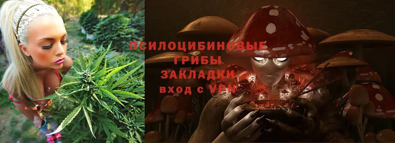 Галлюциногенные грибы Psilocybine cubensis  как найти закладки  Лаишево 